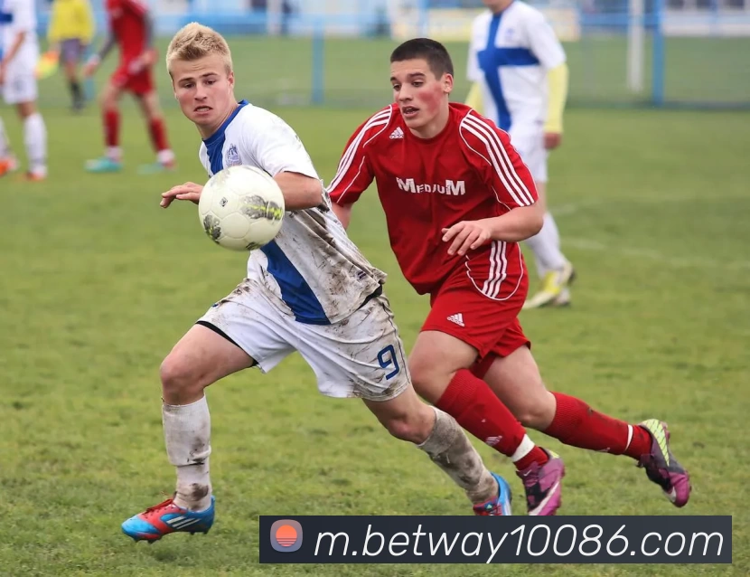 必威体育发展历程